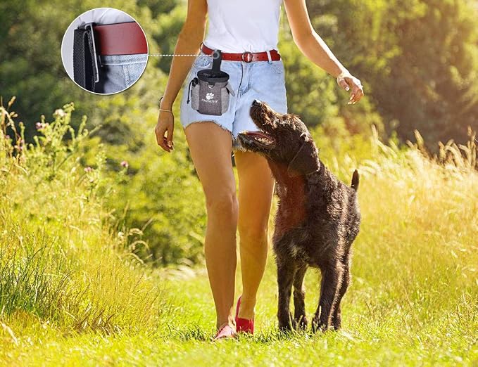 AMZNOVA Dog Treat Pouch Treatnow Dog Treat Bag, 3 Cups, Heather Coffee | Training Pouch with Waist Belt & Clicker for Training & Walking, Waist Clip On Snack Fanny Pack for Pet