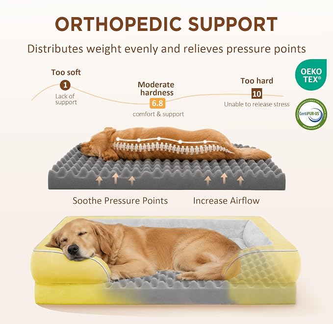 Comfort Expression Orthopedic Dog Beds for Large Sized Dog with Bolster | Waterproof Dog Couch Bed with Washable Cover & Non-Slip Bottom, Supportive Egg Crate Foam Large Pet Bed, 36x27 Inch