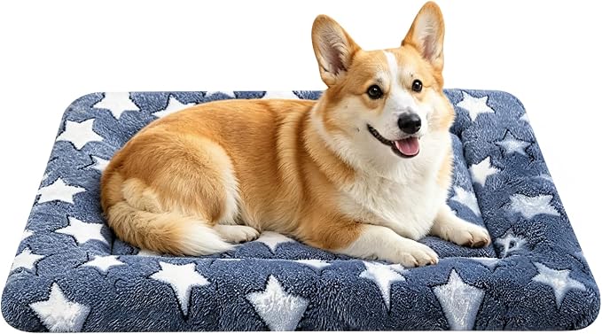 Dog Bed Mat, Reversible Crate Pad & Cute Dog Bed - Machine Washable Kennel Mat with Ultra Soft for Medium Dogs
