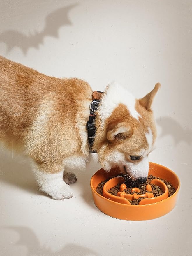 LE TAUCI Ceramic Slow Feeder Dog Bowls Small Breed, 0.6 Cups Dog Food Dish for Fast Eaters, Puzzle Bowl for Dogs and Cats,Pumpkin Orange