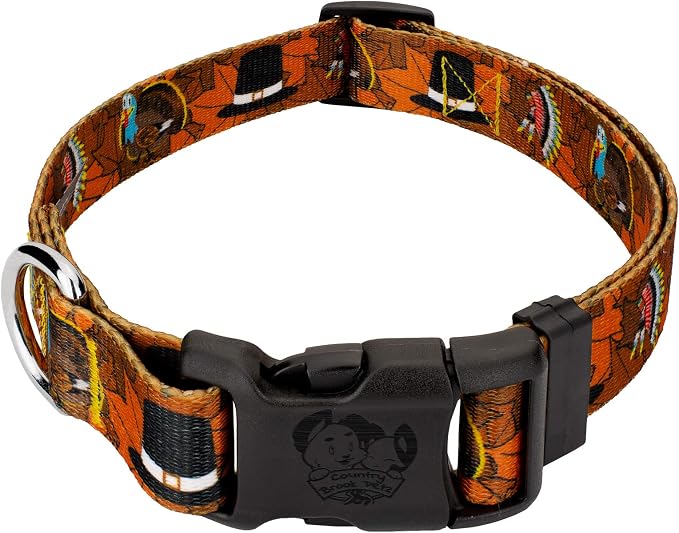 Country Brook Petz - Thanksgiving Tradition Everyday Dog Collar - Made in The U.S.A. - Awesome Autumn Collection Featuring Designs You Will Fall for (1/2 Inch, 2XS)