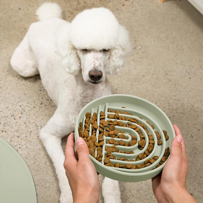 Should We Go? Slow Feeder Dog Bowls - Large Size Silicone Slow Eating Dog Bowl for Puppies & Dogs with Suction Cup -Dishwasher-Safe, Lick Mat Design, Reduces Gulping,for All Breeds,9.5”x1.5”- Sage
