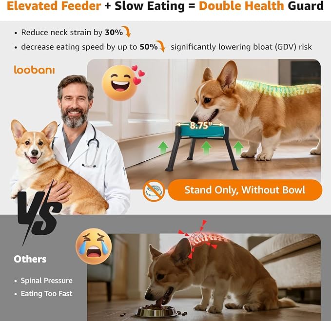 LOOBANI Elevated Dog Bowl Stand Adjustable 5.9"-8.7" Width for Seniors Dogs | for Senior & Arthritic Dogs, Reduces Neck Strain, Non-Slip Rubber Feet, Rust-Proof Stand, Easy Clean