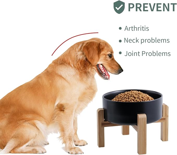 Black Raised/Elevated Ceramic Dog Bowl for Small Medium Sized Breeds,Dog Food Water Bowl with Stand,6 in Non Slip Heavy Pet Feeding Dish 3.6 Cups/ 850 ml /28 OZ