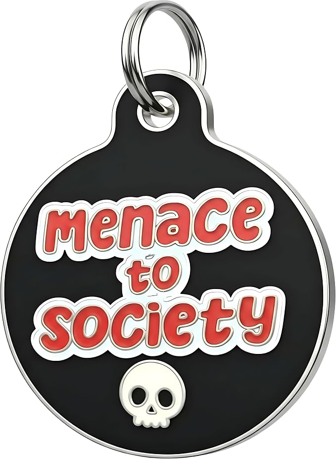 Bad Tags Personalized Dog and Cat ID Tags in 25+ Designs and 2 Sizes - 5 Lines of Custom Engraved Text - Funny Cute Personalized Pet Tags (Menace to Society, Large (1.25 inch))