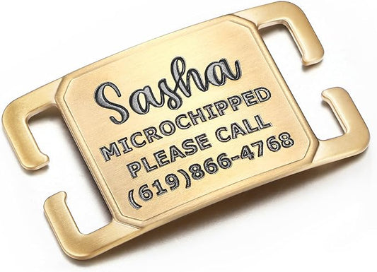 Rugged & Refined: Immovable Slide-On Pet ID Tag - Silent No-Noise Design - Deep Laser Engraved Horology-Grade Steel - Small | PVD Gold