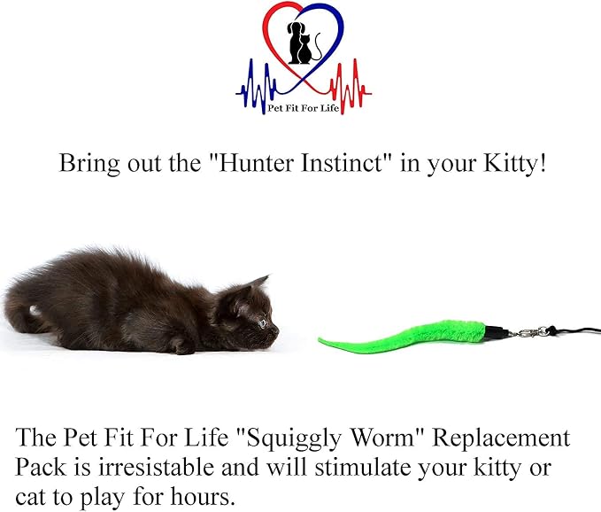 Pet Fit for Life 5 Piece Replacement Pack of Worms for Interactive Cat and Kitten Toy Wands