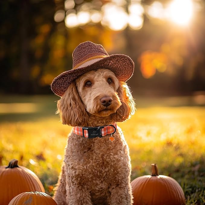 Fall Dog Collar Cute Orange Plaid Puppy Collar - Light Comfortable Adjustable Pet Collars for Small Medium Large Girl Boy Dogs XS
