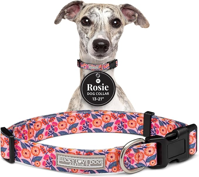 Lucky Love Dog - Adjustable Dog Collar with Easy Click Buckle for Medium, Durable, & Comfortable for Male & Female Dogs, Pet Collar for Puppies & Adult Dogs - Rosie, Medium