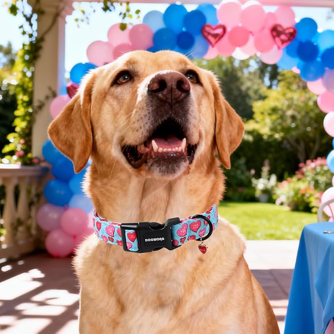 DOGWONG Valentine's Day Dog Collar-Cute Blue Heart Pattern Dog Collars, Adjustable Valentine Heart Pet Collars Puppy Collar with Quick Release Buckle for Girl&Boy Dogs,M