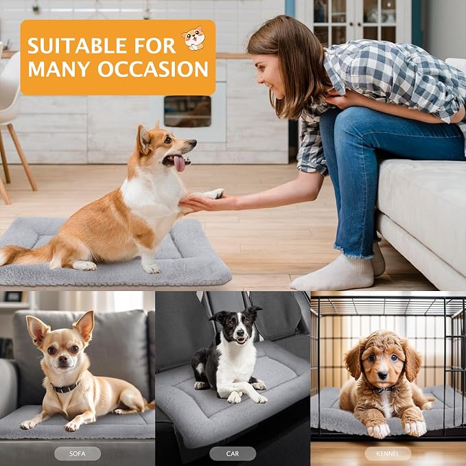 Reversible Dog Bed Mat with Plush and Corn Velvet,Soft Warm Pet Cushion, Dual Purpose Washable Sleeping Mattress Bed for Small Medium Large Dog and Cat XB004 (24"x18", Solid Grey)