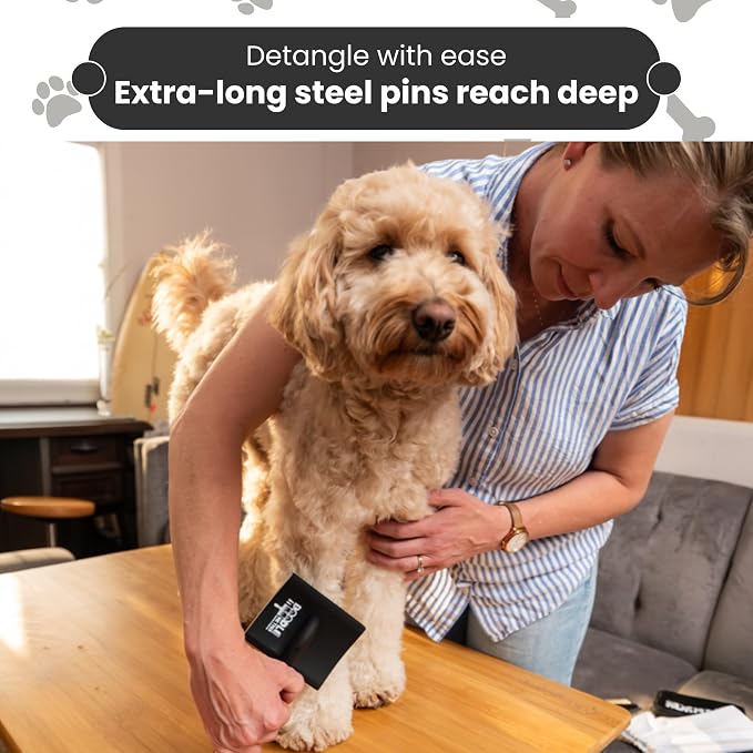 Slicker Dog Brush - Detangle - Large, Black
