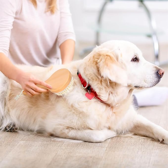 petour Dog Bath Brush Pet Shampoo Handle Bath Brush with Massage Points Dog Grooming/Washing/Massaging Wooden Brush Natural Bristle Dog Brush Removal Loos Hair for Cats Dogs, Beige