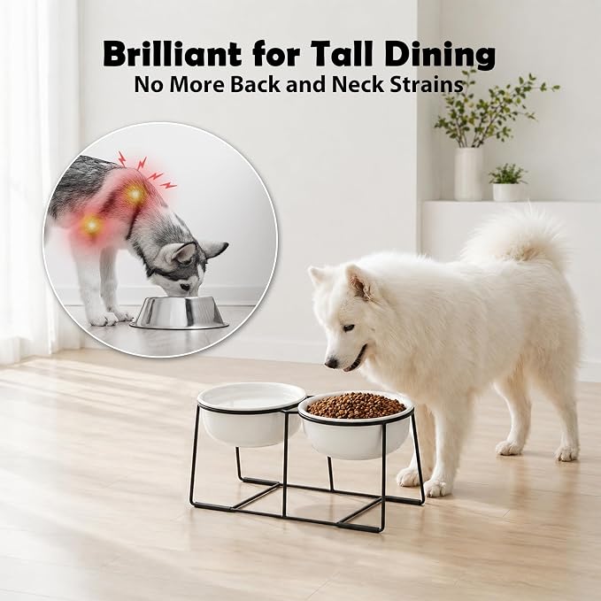Ceramic Elevated Dog Bowl Set - Raised Double Feeding Bowls with Metal Stand - Pet Dishes for Medium and Large Dogs - 5.8 Cups - 47.3 fl oz - Matte White