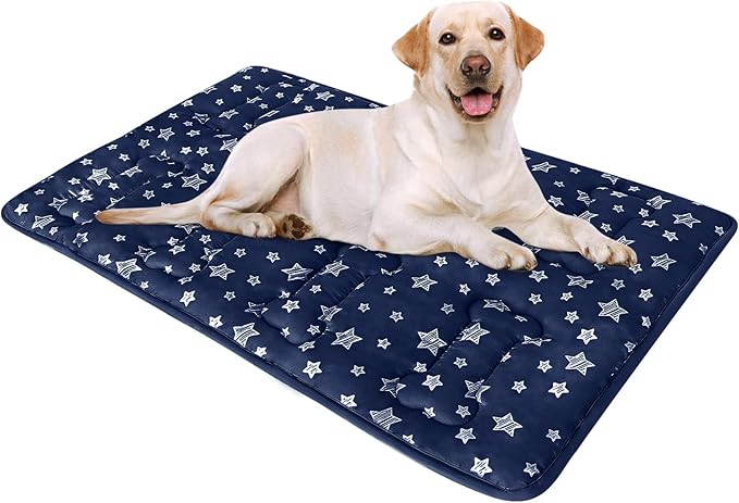 Dog Crate Pad Mat (36" X 23"), Soft Dog Bed Mat with Cute Prints | Personalized Crate Pad, Anti-Slip Bottom, Machine Washable Kennel Pad