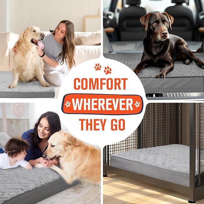 Simple Trending Orthopedic Dog Bed for Large Dogs with Removable Cover | Egg Crate Foam, Washable Pet Bed, Durable Oxford fabric, Non-Slip Bottom, Waterproof Plush Pet Bed Mat, 36 x 27 Inch, Gray