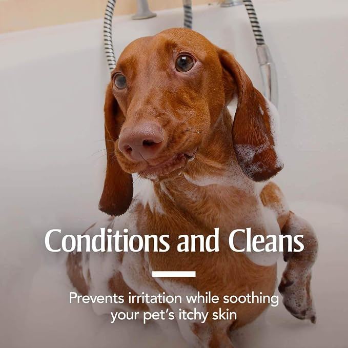 PetArmor Plus Flea & Tick Oatmeal Shampoo Dogs, 7-Day, Tropical, 18oz | Ideal for Dogs with Sensitive Skin; Kills Flea Eggs for 30 Days; not for cats; Tropical Breeze Scent