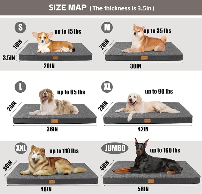 Patas Lague Orthopedic Large Dog Bed Pet Sofa Mat 36''X24'' Dark Grey | Egg-Crate Foam Dog Couch For Large Sized Dogs, Waterproof Removable Washable Cover, Soft Pet Crate Bed With Nonskid Bottom