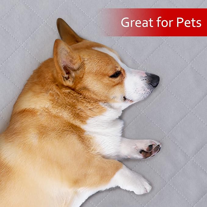 Dog Crate Mat and Washable Pee Pads for Dogs 2 Pack(30"X19") | Waterproof Non-Slip Reusable Quilted Puppy Training Pads, Fits 30 Inch Crates