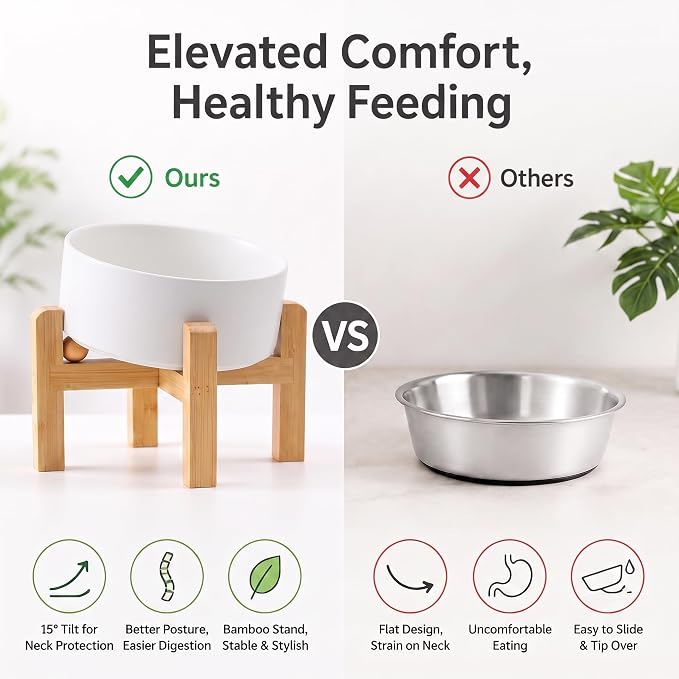 hjn Elevated Ceramic Dog Bowl 15°Slanted Raised Dog Bowl with Bamboo Stand for Small Medium Dogs and Cats, Pet Feeder -7.6-Cup (1800ml)-White