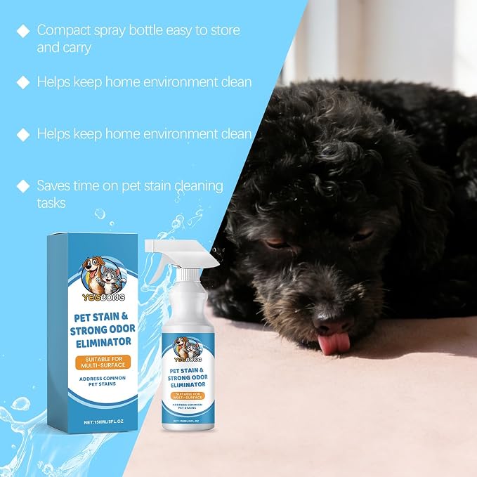 Pet Stain & Strong Odor Eliminator, Dog Cat Pee Urine Destroyer - 5oz | Cleaner Spray for Pet Stain Remover, Urine, Poop, Pee, Deodorizer for Carpet, Upholstery, Air Freshener in Home & Car
