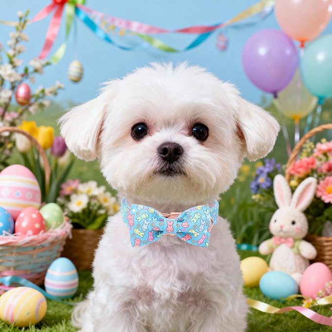 DOGWONG Easter Dog Collar, Blue Bunny Print Dog Collar with Bow, Girl Boy Pet Spring Holiday Dog Collars for Small Medium Dogs,M