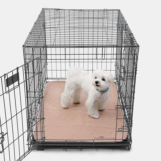 Paw Inspired Washable Crate Liners for Dogs, 35x22 Inch, 2 Pack | Fits 36 Inch Kennels, Leakproof, Non-Slip Pee Pads, Reusable Puppy Pads for Potty Training, Whelping, Waterproof Pet Mat