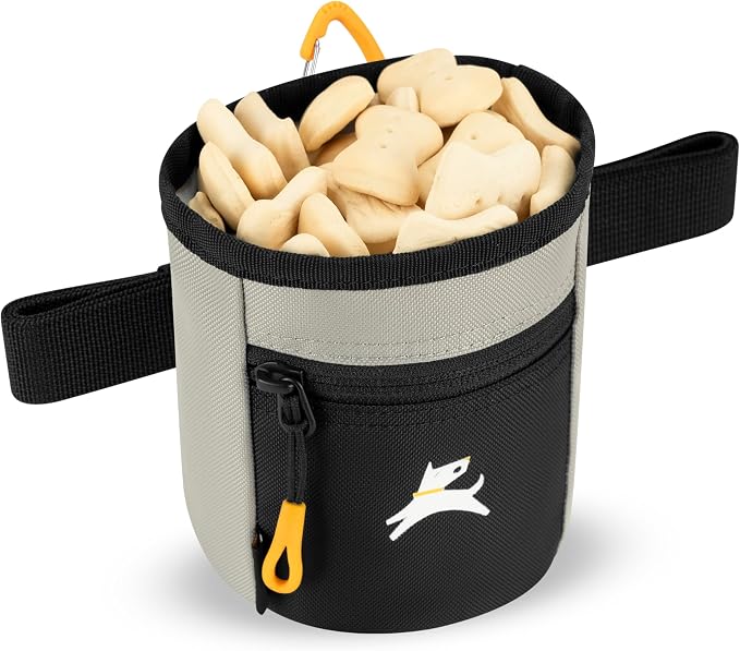 Goodie Treat Bag, Dog Treat Training Pouch | Magnetic Closure | 3 Ways to Wear | Hands-Free Waist Belt | Water-Resistant Recycled Vegan Fabric (Wasabi Stone)