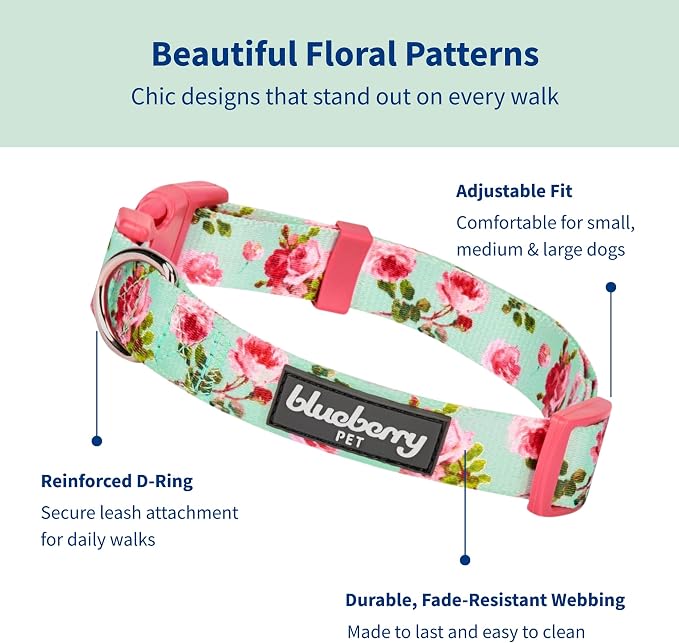 Blueberry Pet Dog Collar - Turquoise Floral Rose Print, Adjustable Small Dog Collar for Neck 12-16", Girl Dog Collars for Small Dogs, Puppy Collars, Easter Dog Collar, Eco-Friendly