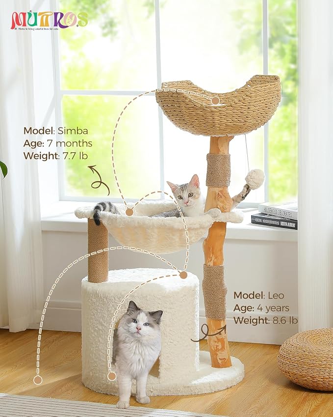 MUTTROS Modern Cat Tree for Large Cats, Wood Cat Tower for Indoor Cats, Real Branch Luxury Cat Furniture with Super Large Cozy Condo and Hammock & Scratching Post, Top Basket, White