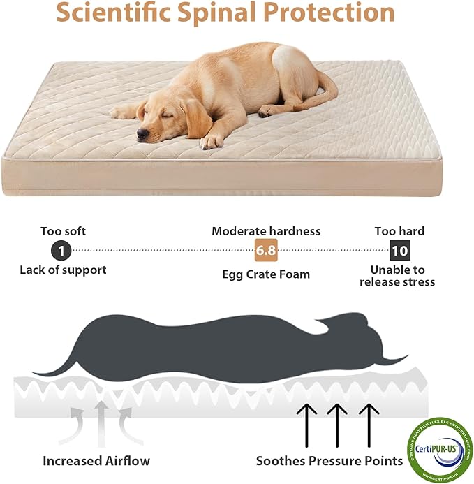 WNPETHOME Orthopedic XXL Dog Beds for Large Senior Dog Bed Comfy Sleeping | XXL Washable Waterproof Dogs Bed with Removable Cover, Multi-Needle Quilting Dogs Crate Bed for Relax , Beige 55x42 Inch