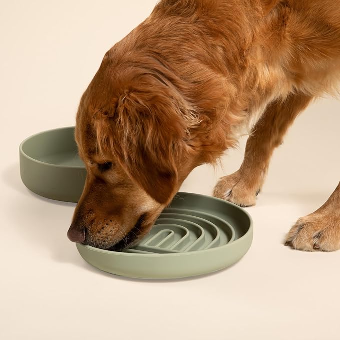 Should We Go? Slow Feeder Dog Bowls - Large Size Silicone Slow Eating Dog Bowl for Puppies & Dogs with Suction Cup -Dishwasher-Safe, Lick Mat Design, Reduces Gulping,for All Breeds,9.5”x1.5”- Sage