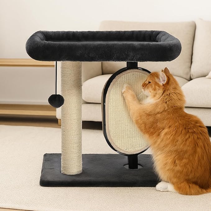 Amazon Basics Single-Platform Cat Tree with Scratching Post and Pad for Indoor Cats, 15.7 x 11.8 x 18.5'', Gray