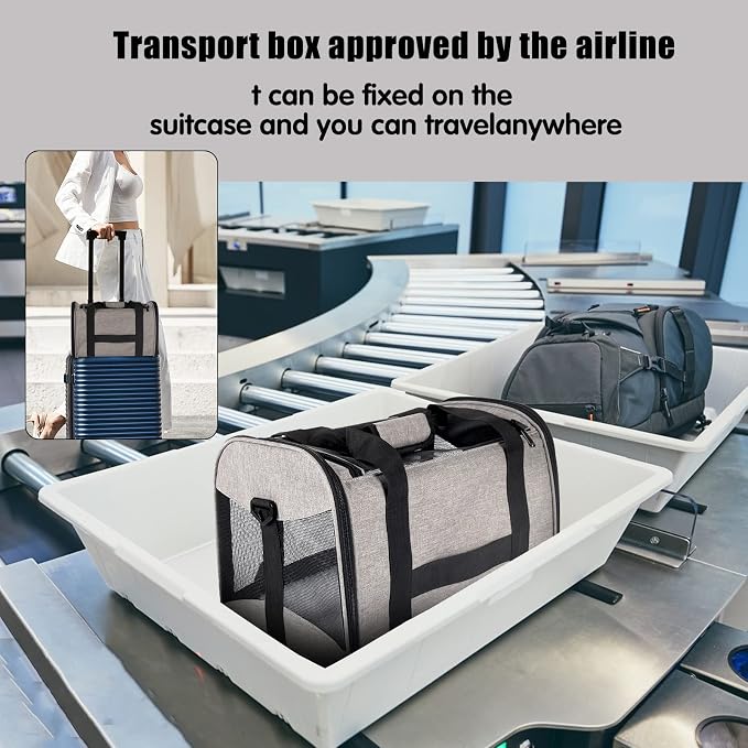 Small Animals Cat Carrying Case Pet Carrier Airline Approved, Protable and Breathable Pet Travel Carrier Removable Fleece Pad Collapsible Cat Carrier Dog Carrier Small Cats Dogs(15 * 10 * 10)