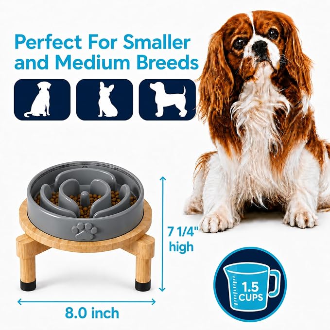 Slow Feeder Dog Bowls – Elevated Dog Bowl Slow Feeder with Bamboo Stand– Microwaveable Dog Slow Feeder for Small and Medium Dogs – Lead and BPA-Free Ceramic Pet Bowl – Pet Feeder for Fast Eaters