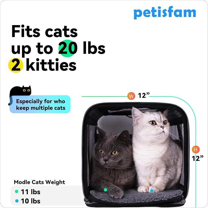 Soft Pet Carrier for Large and Medium Cats, 2 Kitties, Small Dogs. Easy to Get Cat in, Great for Cats that Don't Like Carriers (Blue)
