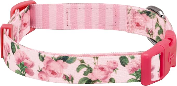 Blueberry Pet Pink Floral Dog Collar, Adjustable Medium Size, Neck 14.5”-20”, Printed Pet Collar for Medium Dogs