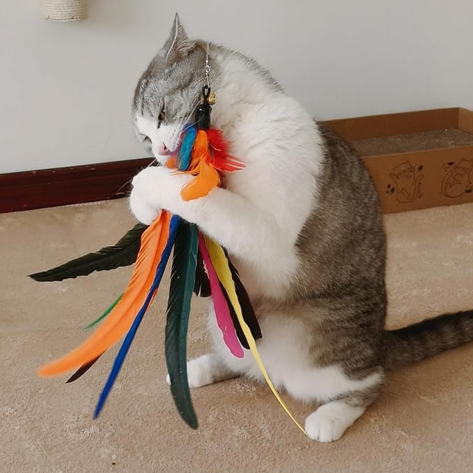 miwoowim Da Bird Feather Refill - 2 Extra-Large Natural Replacement Attachments(13.8inch) and 4 Feather Toys Refills(5.8inch) for Indoor Cats,Cat Wand Attachment (6PCS)