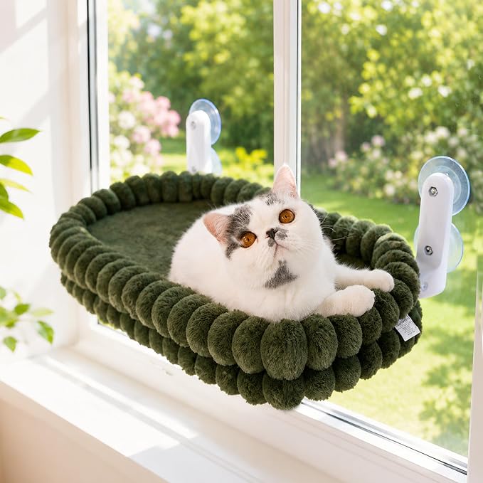CHEERPALS Cat Window Perch for Indoor Cats Hammock for Window with Reversible Cushion, Foldable Cat Window Bed for Large Cats and Kittens, Cloud Series(Green,Medium)