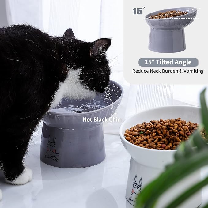 6.5 Inch Extra Wide Ceramic Raised Cat Bowl Set, Tilted Elevated Cat Bowls for Food and Water, Prevent Whisker Fatigue, Stress Free, Less Vomiting, Protect Spine, White & Grey | Prevent Whisker Fatigue, Stress Free, Less Vomiting, Protect Spine, Dishwa...