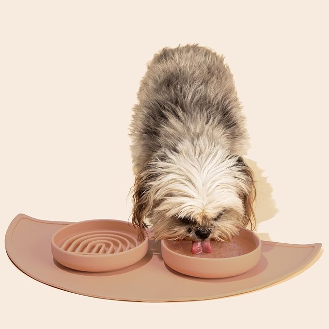 Should We Go? Slow Feeder Dog Bowls - Small Size Silicone Slow Eating Dog Bowl for Puppies & Dogs with Suction Cup -Dishwasher-Safe, Lick Mat Design, Reduces Gulping, for All Breeds, 6”x1.25”- Blush