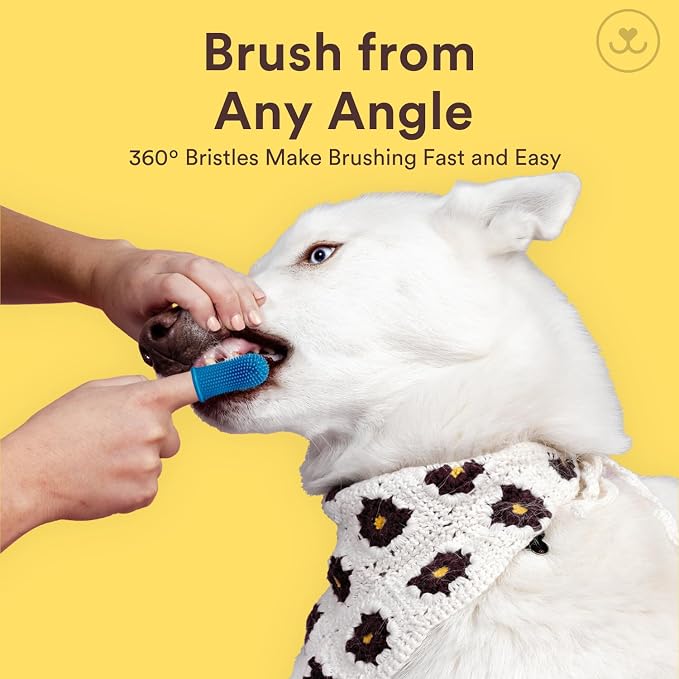Jasper Large Dog Toothbrush, 360 Degree Pet Tooth Brushing Kit, Cat Toothbrush, Canine Dental Care & Teeth Cleaning Kit, Pet Finger Tooth Brush, Use with Dog Toothpaste, 2-Pack Navy-Blue Large