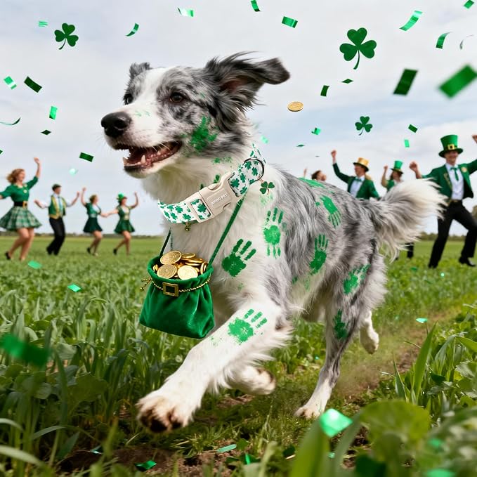 ARING PET St Patrick's Day Collar for Dog, Cute White Green Clover Shamrock Puppy Pet Collars for Small Medium Large Boy Girl Dogs-M