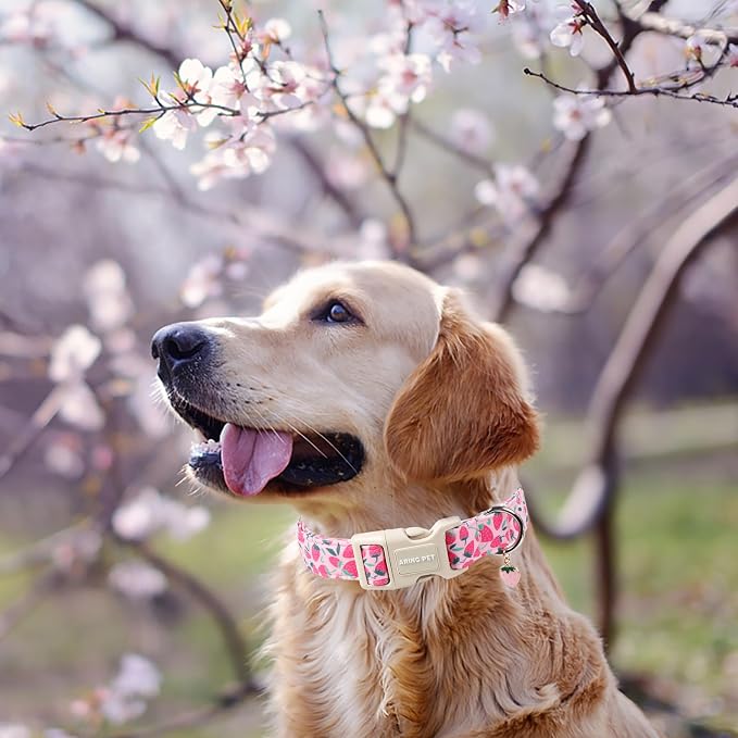 ARING PET Strawberry Dog Collar, Cute Spring Summer Pink Puppy Pet Collars for Small Medium Large Female Girl Dogs-L
