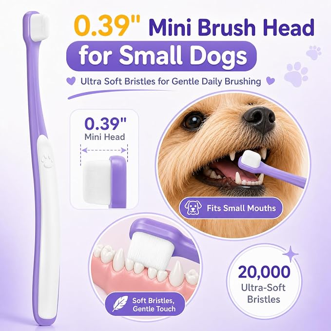 Small Dog Toothbrush, Mini Head, Soft Bristles, Under 30 lbs | Gentle Tiny Teeth Care. Curved Handle Reach. Soft Gum Comfort. Rubber Grip Control. Easy Daily Brushing.