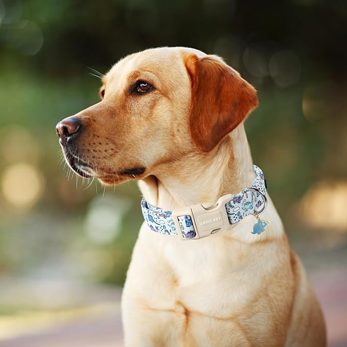 ARING PET Dinosaur Dog Collar-Cute Boy Dog Collar for Small Dogs, Adjustable Dinosaur Print Pet Collars Puppy Collar for Small Medium Large Dogs