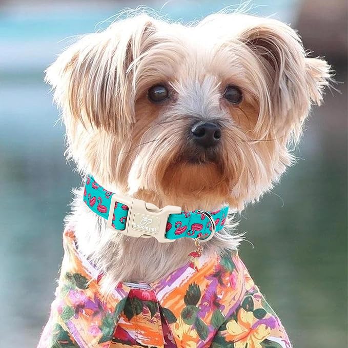 Summer Dog Collar, Cute Boy Flamingo Pool Party Dog Collars for Large Dogs - Beach Day Pup Collar, Soft Adjustable Male Pet Collars with Quick Release Buckle L