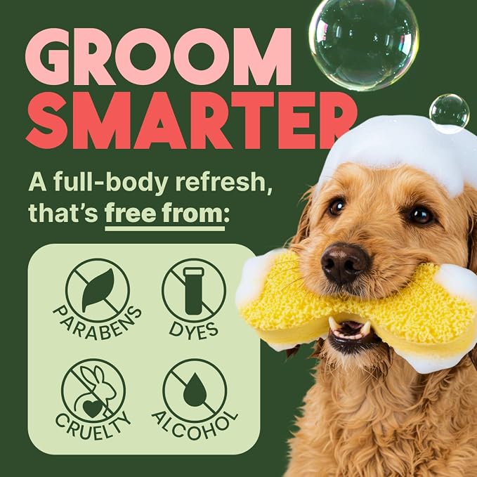 TropiClean 2-in-1 Dog Shampoo and Conditioner, Watermelon Scent, 2.5 Gallon | Professional Moisturizing Detangler | Watermelon Scent | Puppy Safe | Made in USA