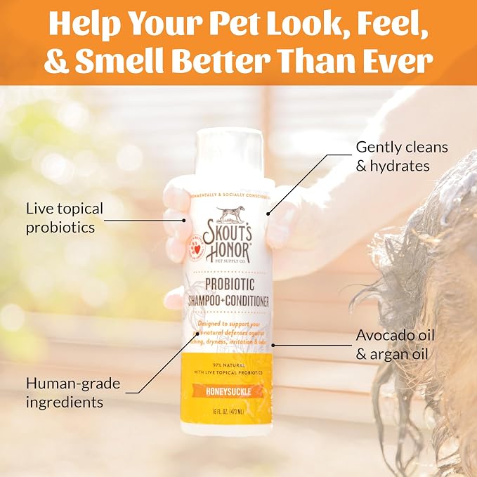 SKOUT'S HONOR Probiotic Dog Shampoo and Conditioner - HS, 16 oz, 2-Pack | Hydrating, Natural 2-in-1 for Itchy Skin, Microbiome-Friendly with Avocado Oil & Omega-3s, Paraben & Sulfate-Free