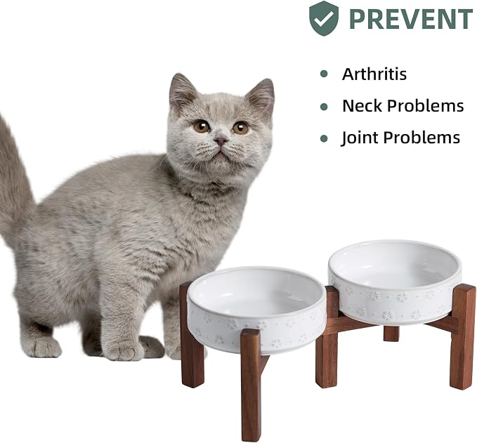 Havniva 6.1" Elevated Dog Bowls Ceramic Raised Dog Bowl with Non-Slip Stand (Acacia Wood) Two Height Options, Dog Food & Water Bowl for Small Breed Dogs - 1.7 Cups 13.5 oz
